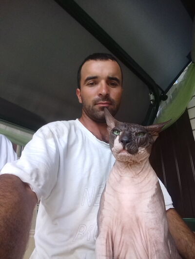   ,   , 34 ,   ,   , c 