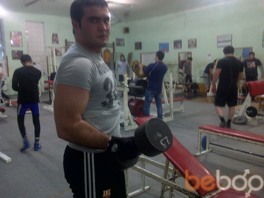 ���������� ����, ���� ������� ALBERT, 36 ���, ������������ ��� ������