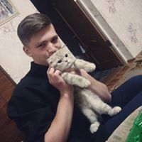   ,   , 28 ,   
