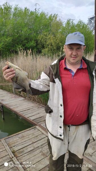  ,   Kirill, 44 ,   ,   , c , 