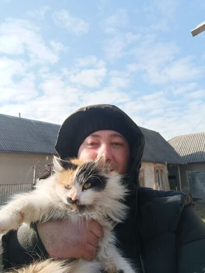  ,   , 41 ,   ,   