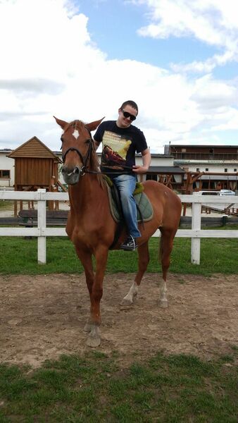  -,   Vlad, 38 ,   