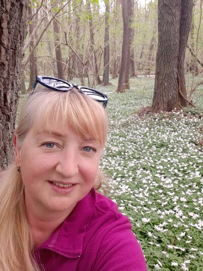  ,   , 54 ,     , c , 