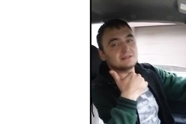  ,   German, 33 ,   