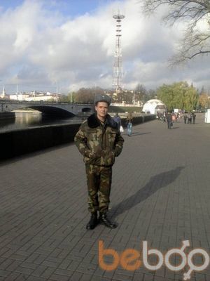  3781820  , 31 ,    