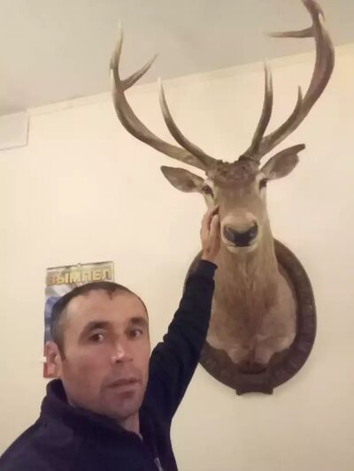  ,   , 45 ,   ,   