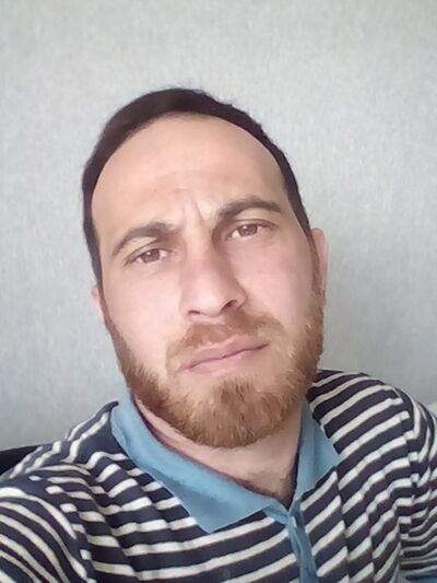  ,   Zamir, 40 ,   ,   , c 