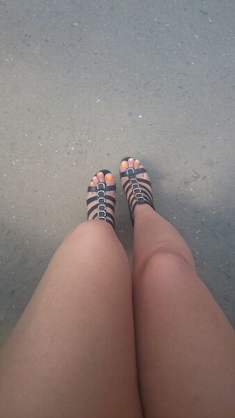  ,   Elfika, 34 ,   