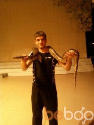 ���������� �����������, ���� ������� ����, 36 ���, ������������ ��� ������, ����� � ���������, c�������� ���������