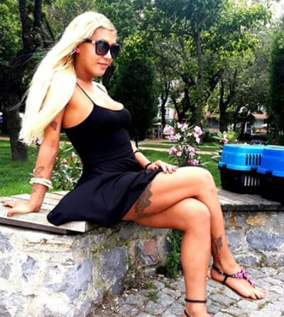  ,   Gunka, 34 ,   ,   , c 