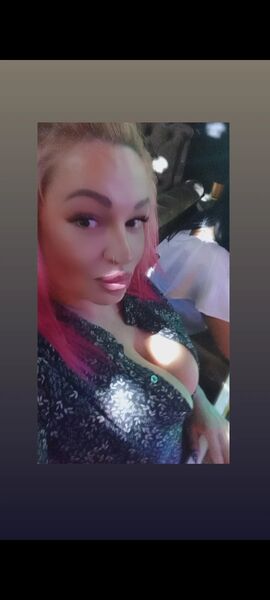  --,   , 38 ,   ,   