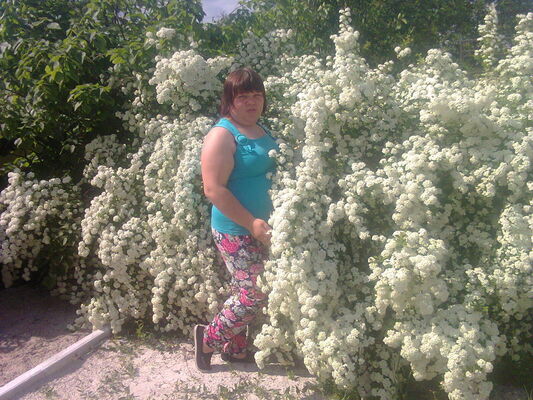 ,   , 24 ,     , c 