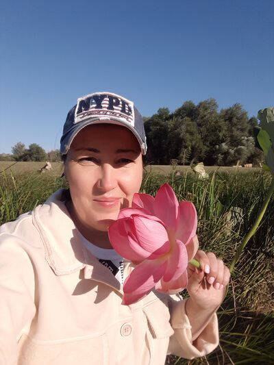  ,   , 50 ,   c 