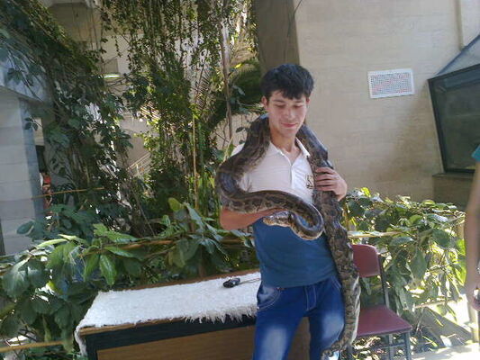  ,   Shahrizod, 33 ,   ,   , c 