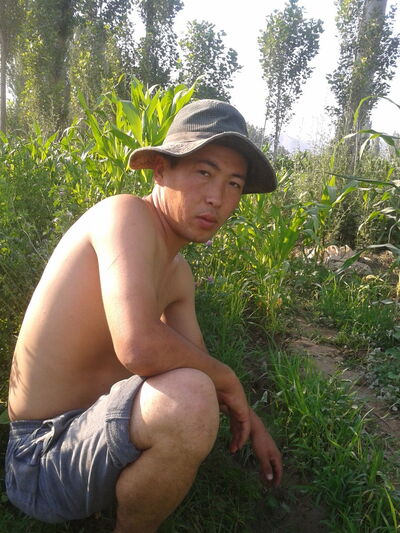  ,   , 38 ,   