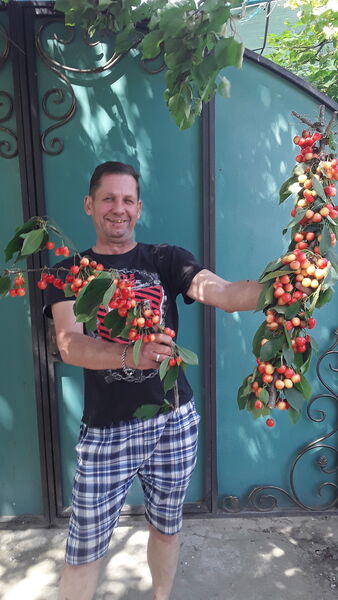  ,   , 55 ,   ,   
