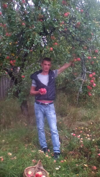  ,   32rus, 39 ,  