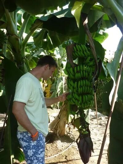 ,   Ivan, 48 ,   ,   