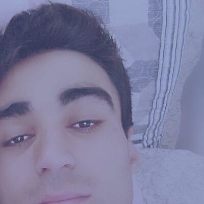  ,   Shamil, 31 ,     , c 