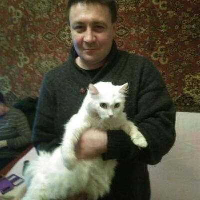  ,   Helloween, 37 ,   ,   , c 