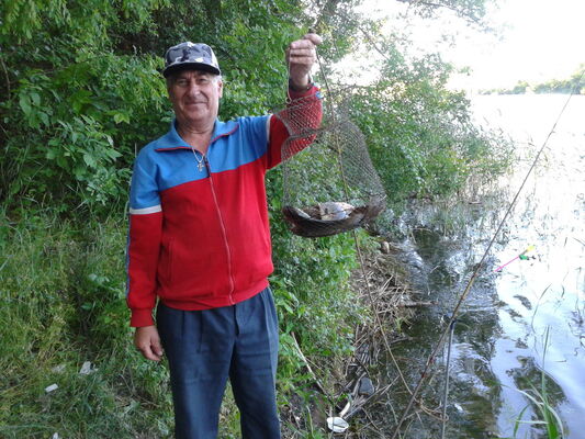  ,   Gera, 75 ,   