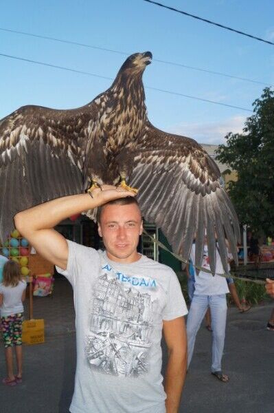 ���������� ����, ���� ������� ���������, 34 ����, ������������ ��� ������, ����� � ���������, c�������� ���������