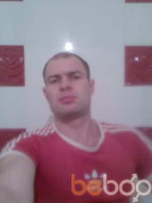  -,   , 41 ,  