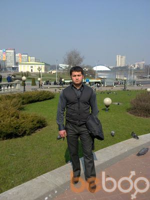  ,   Lion, 38 ,   