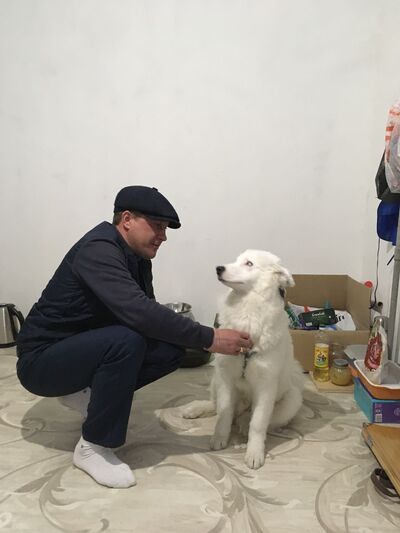  ,   , 41 ,   ,   