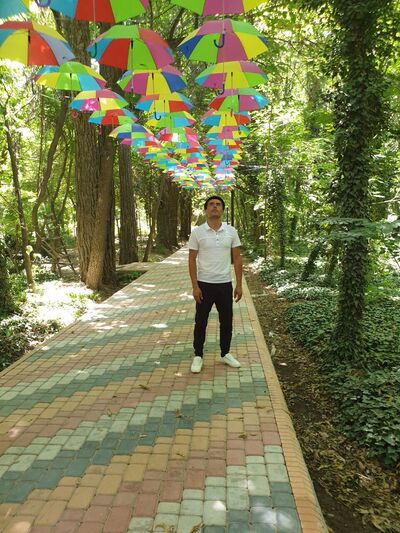  ,   Doni, 29 ,   ,   