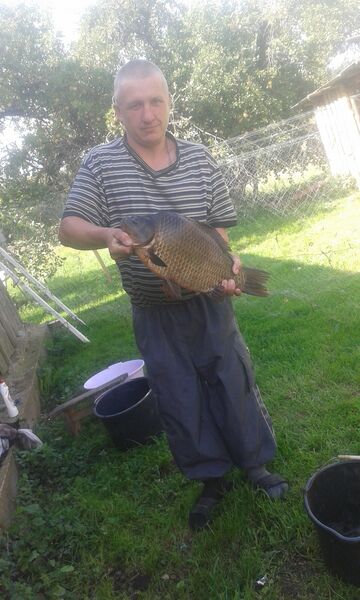  ,   Pasa, 45 ,     , c 