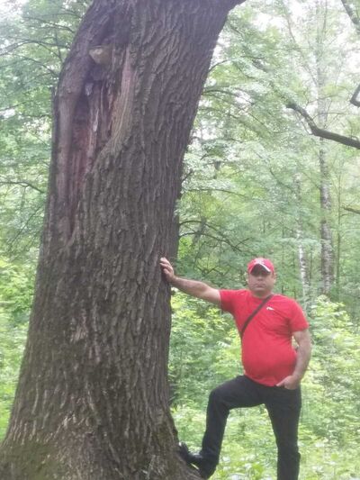  ,   Salamon, 47 ,   ,   