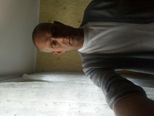  ,   , 53 ,   