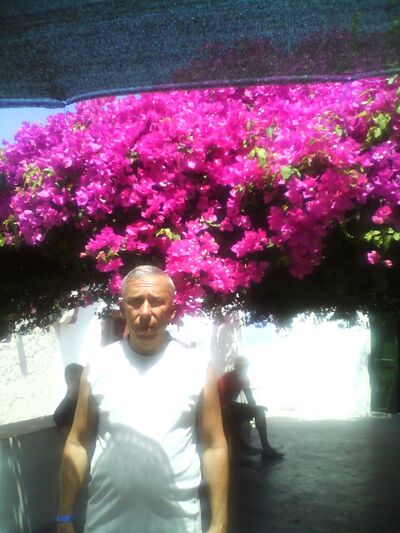  ,   Sharapov58, 66 ,  