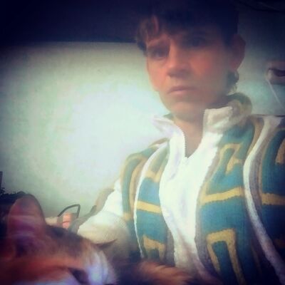  ,   , 44 ,     , c , 