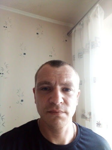  41404350  , 43 ,    