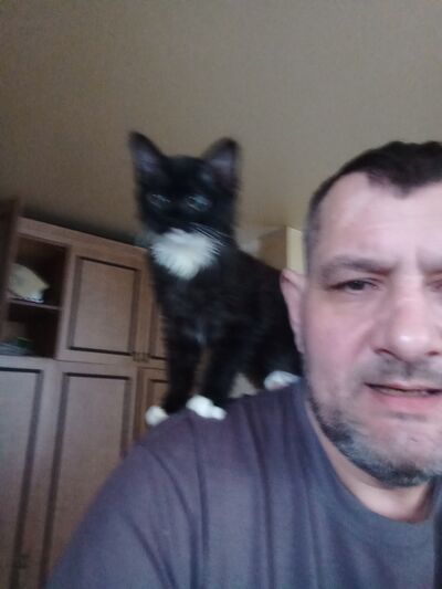  ,   , 53 ,   ,   , c 