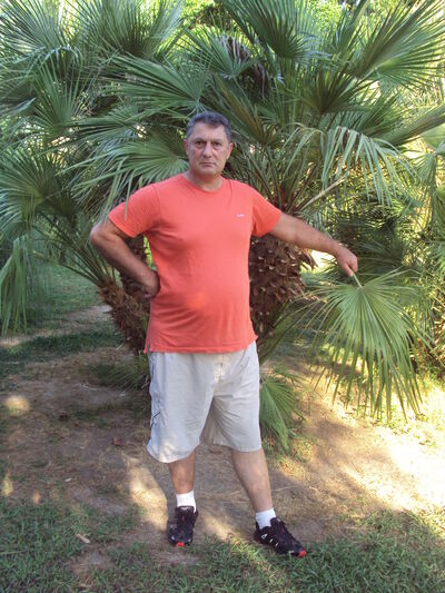  ,   , 62 ,   