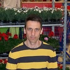  ,   , 37 ,   