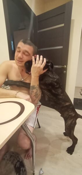  ,   , 46 ,  