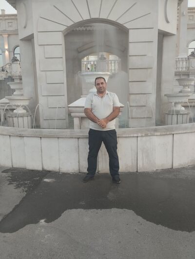 ,   Art, 46 ,   ,   