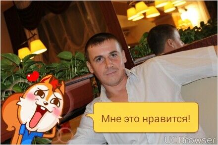  7988950  , 41 ,    