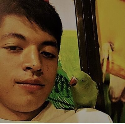  ,   Karimjonoff, 30 ,   ,   