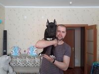  ,   , 37 ,   ,   , c 