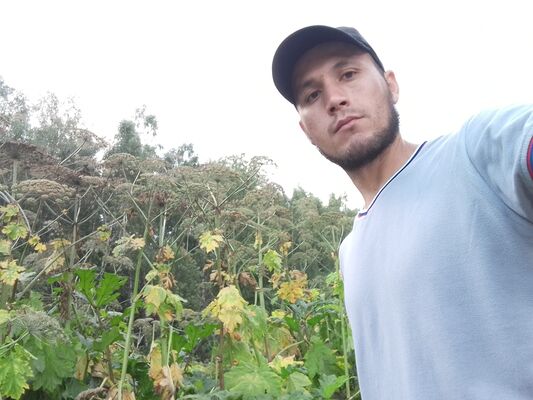  -,   , 31 ,   ,   , 