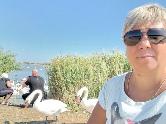  ,   , 40 ,   c 