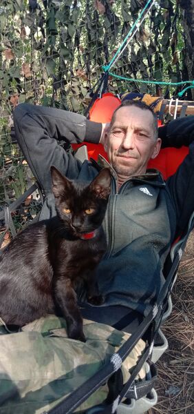  ,   , 56 ,   ,   