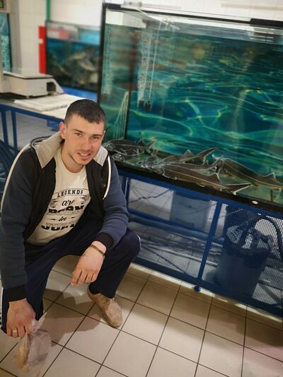  ,   Dima, 31 ,   ,   