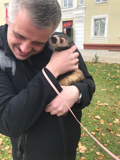  -,   , 45 ,   ,   , c 