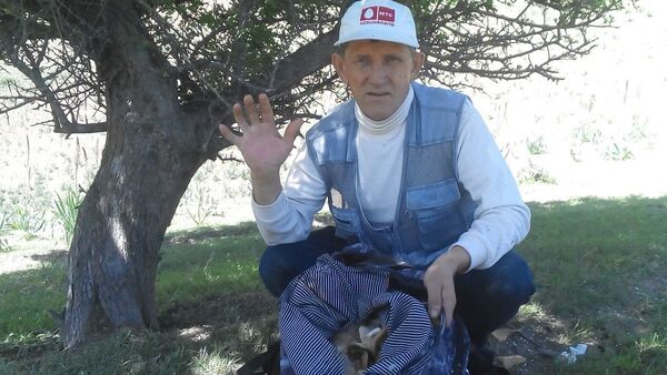  ,    , 56 ,   ,   , c 